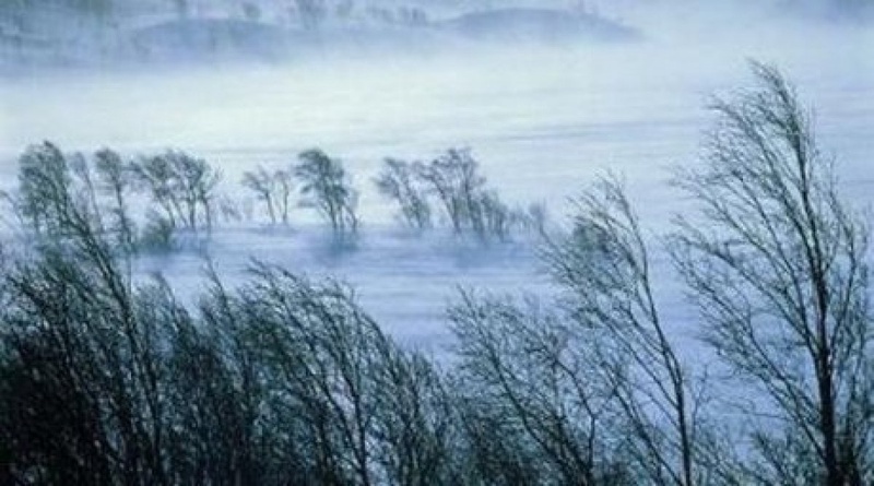 Фото с сайта stihi.ru