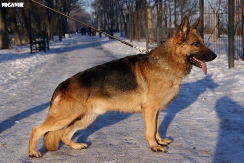 Фото с сайта vk.com