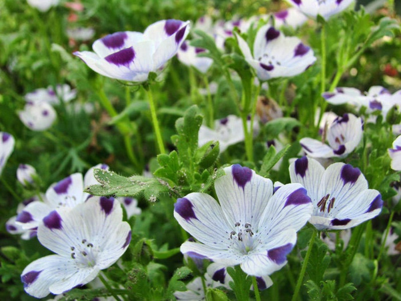 Из архива tengrinews.kz