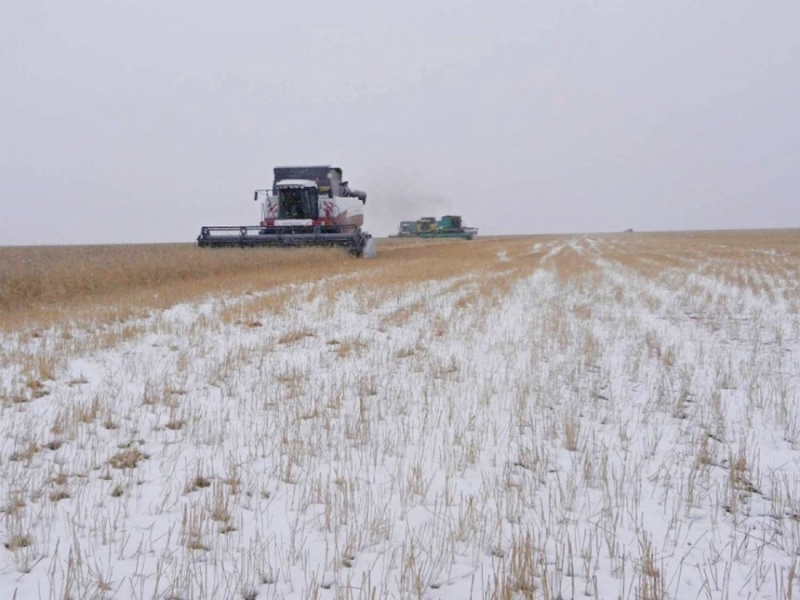 Фото с сайта feddpres.ru