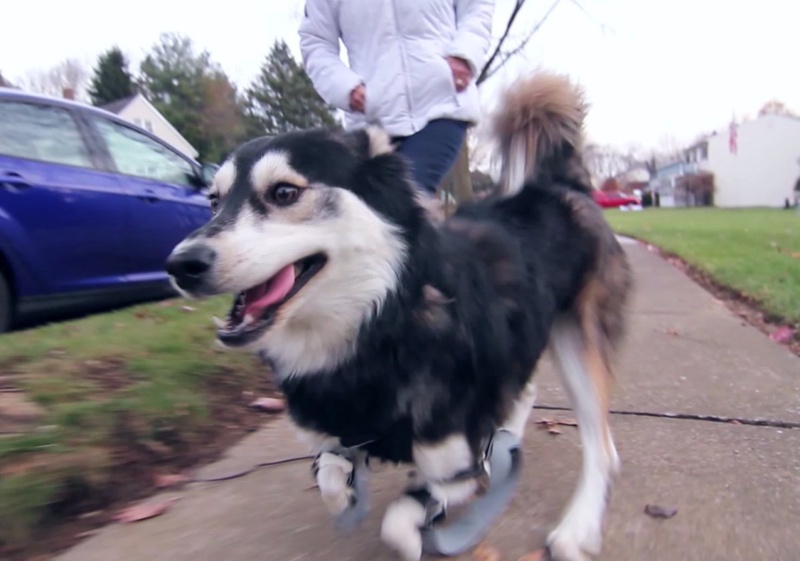 Кадр с сайта YouTube.com