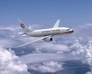 В Китае задержаны самовольно открывшие аварийные выходы самолета пассажиры