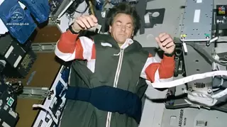 Как спят в невесомости?