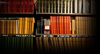 Названы самые популярные книги в библиотеках Казахстана