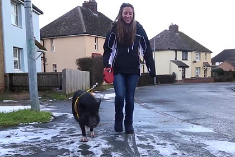 Кадр из видеоролика YouTube