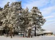 У друзей и родственников бывшего акима Караганды отобрали незаконные участки