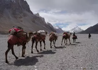 Меры поддержки переезда граждан с юга на север разработали в Казахстане