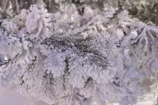 Погода в Казахстане: На выходные ожидается метель