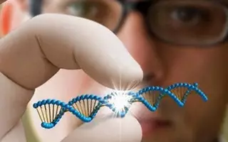 Зачать ребенка с ДНК трех человек разрешили в Великобритании