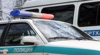 Найденного в мусорном контейнере в Караганде младенца мог убить отец