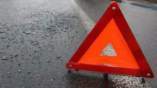 У погибшего в ДТП в Карагандинской области водителя автобуса были фальшивые права