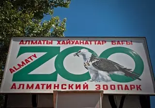 Мошенники пытались заработать на зоопарке Алматы