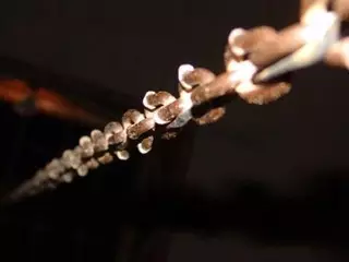 Житель ВКО держал на цепи 12-летнего психически больного сына