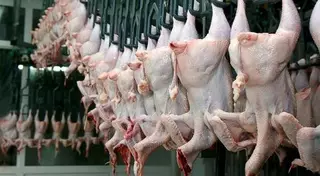 Почти тонна некачественного куриного мяса изъята из реализации в Астане