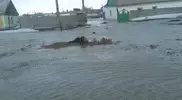 Паводки в Карагандинской области подтопили 6 поселков и город Каражал