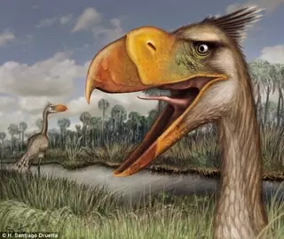 Ученые обнаружили останки вымершей "птицы ужаса"