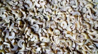 Откуда берется кешью