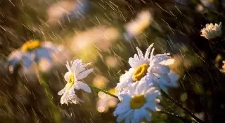 Погода в Казахстане: Кратковременные дожди с грозами ожидаются 5-7 мая