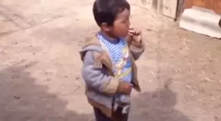 Авторов видео с пьющим и курящим маленьким мальчиком разыскивает МВД РК