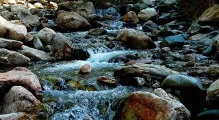 Паводки ожидаются в трех областях Казахстана