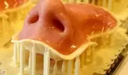 Казахстанские врачи собираются напечатать нос на 3D-принтере