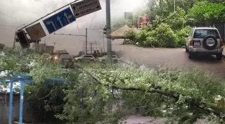 От урагана в Алматы пострадали 15 человек - ДЧС