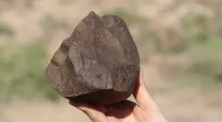 Древнейшие каменные орудия найдены в Кении