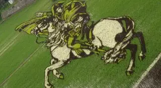 Удивительные рисовые поля Японии