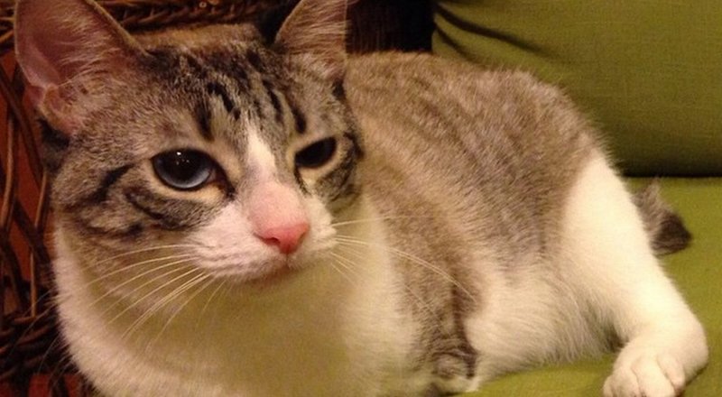 Фото из аккаунта @lilbunnysueroux в Instagram