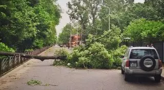 Во время урагана в Алматы были повреждены 7 автомобилей