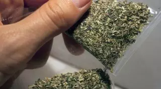 400 тысяч доз синтетических наркотиков уничтожила прокуратура Алматы