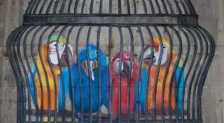 Казахстанский стрит-арт-художник посвятил граффити "диванным критикам"