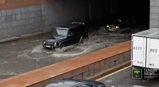 Сильный ветер в Алматы повалил деревья и повредил несколько авто