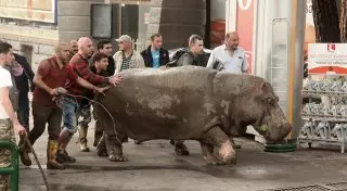 15 июня объявлено Днем траура в Грузии
