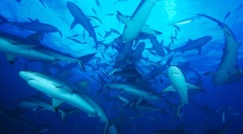 Фото с сайта travelnews.cc