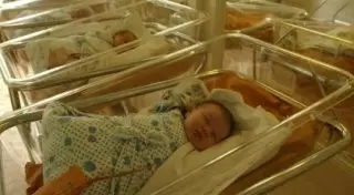 По делу о продаже новорожденных в Шымкенте арестованы еще две женщины