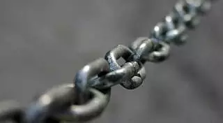 Державший сына на цепи житель ВКО приговорен к штрафу