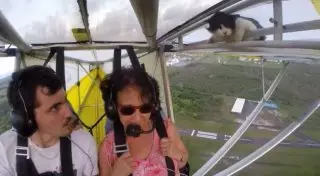 Только после взлета пилот обнаружил на борту еще одного пассажира