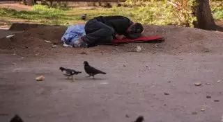 Мажилисмены ужаснулись увиденным в Алматы бомжатникам