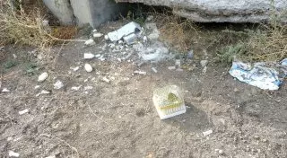 Упаковку ампул с вакциной для птиц нашли под мостом возле Капшагая