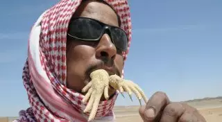 13 экстремальных блюд, которые не каждый рискнет попробовать