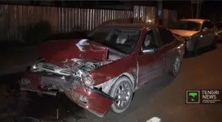 Кошка могла стать причиной ДТП с тремя авто в Алматы