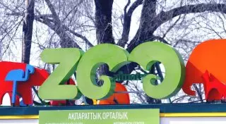 Алматинский зоопарк уйдет на реконструкцию в декабре