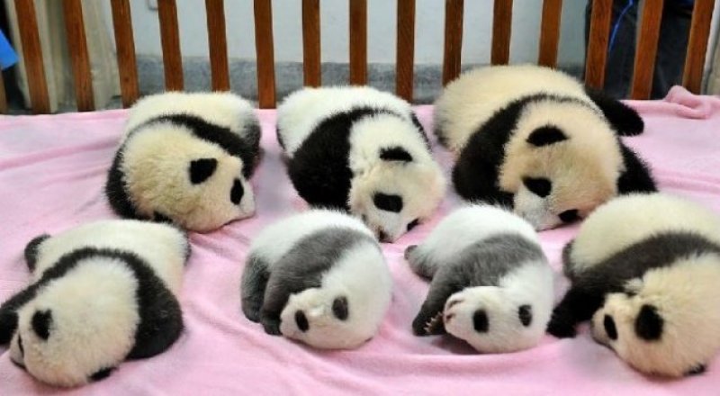 Фото с сайта adme.ru