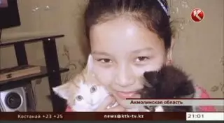 Главу МВД просят установить истинную причину смерти Аружан Абильдиной