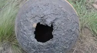 На месте мора сайгаков нашли еще один загадочный шар