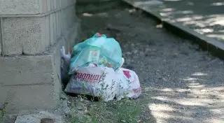 Алматы превращается в мусорную свалку