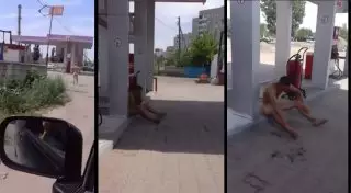 Голый мужчина разгуливал по Павлодару