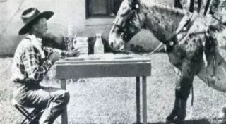 20 исторических кадров, пойманных в нужный момент