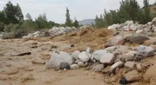 Началась эвакуация населения вблизи верховья реки Талгар